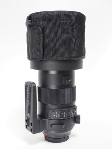 交換レンズレビュー：SIGMA 150-600mm F5-6.3 DG OS HSM | Sports