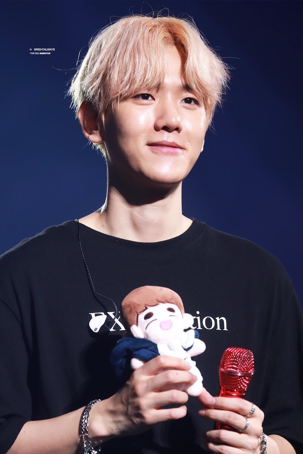 今日も一歩♪*ﾟ（ありがとうのチェンドとベクド♡） | with EXO☆ 盲目